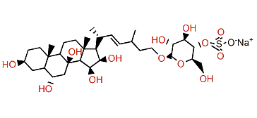 Coscinasteroside D